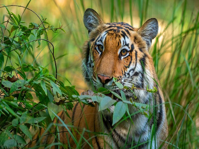 Student Educational Forest Tour